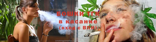 гидропоника Алзамай