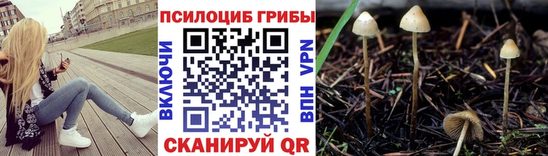 Галлюциногенные грибы прущие грибы  omg tor  Павлово 