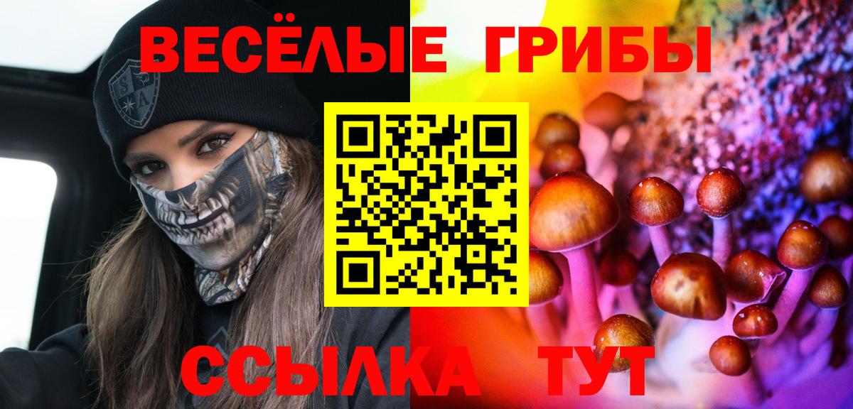 Галлюциногенные грибы Psilocybine cubensis Павлово